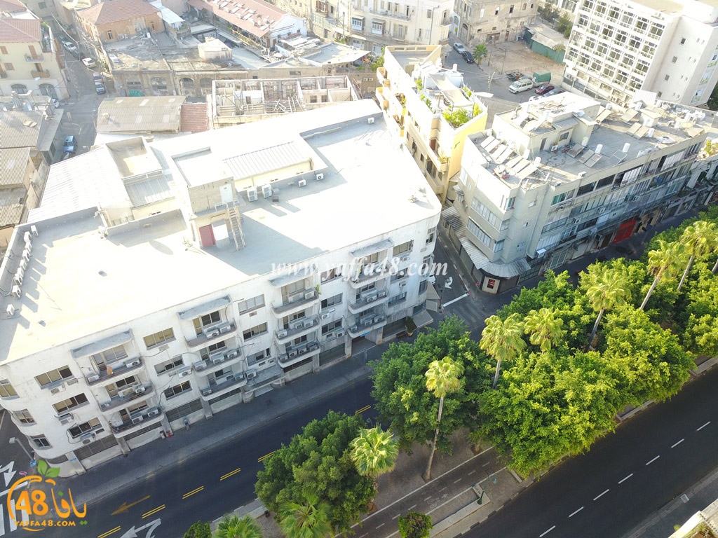 jamal basha tsterre (47).JPG